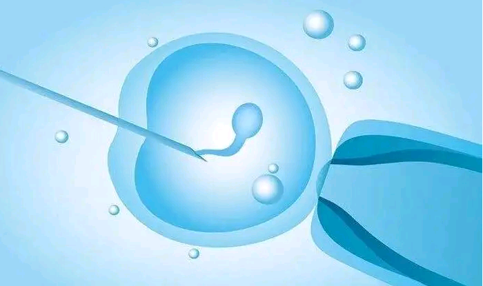 深圳代生孕网,美国试管婴儿囊胚移植时间与女性体质有关系吗？_上海正规供卵