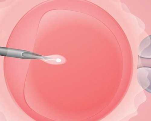 试管促排针要多少钱,代生代怀女宝