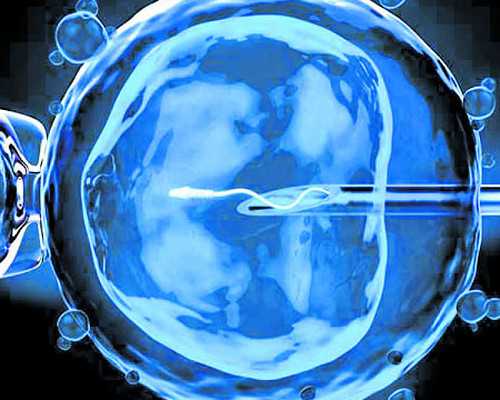 代怀代生包男孩,同性恋/拉拉家庭试管婴儿攻略:西班牙IVF/IUI优劣及成功率介绍