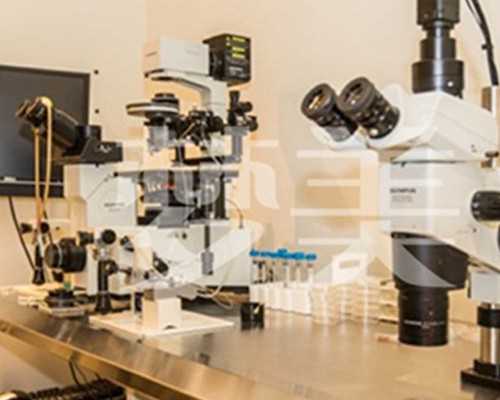 深圳代怀代生男宝宝,多次自然流产，试管婴儿自怀的成功率有多高？_做宫腔镜