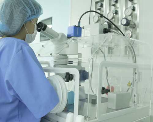 卵巢内卵泡数量,代怀助孕套餐