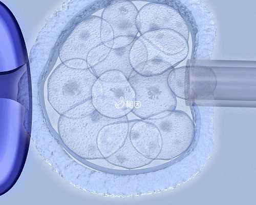 找人代生女孩,2026北京供卵三代试管婴儿多少钱，附供卵费用明细清单_深圳供卵