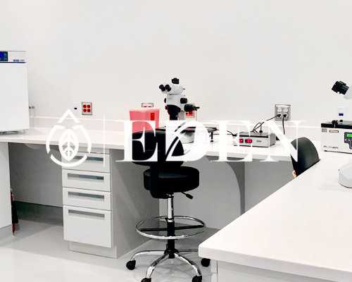 香港泰国试管婴儿多少钱,香港泰国试管婴儿多少钱-