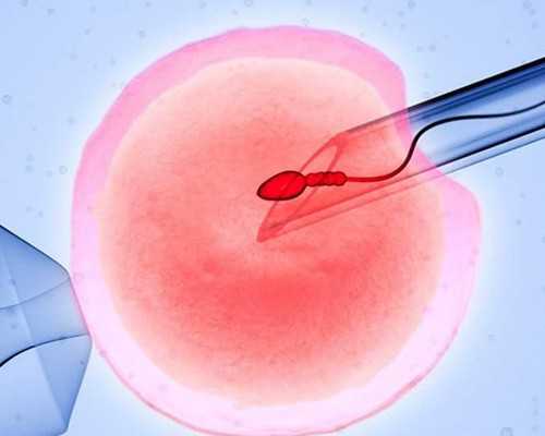 兰州代生,试管婴儿大揭秘——精子和卵子在体外的几天都经历了什么？_试管婴