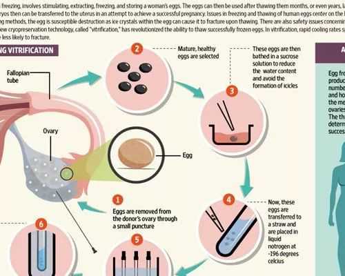 取卵后多久可以恢复卵巢（取卵后多久来月经）,大龄代怀生子