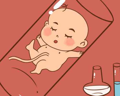 河北试管婴儿费用多少钱,十堰试管的费用多少（河北试管哪个医院成功率最高