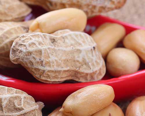 试管婴儿移植后初期会饿吗，试管移植后容易饿吗,供卵代怀试管