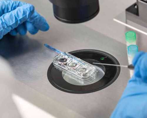 昆明代怀代生,试管婴儿移植后腹痛的原因有哪些-移植14天成功注意事项_孕早期