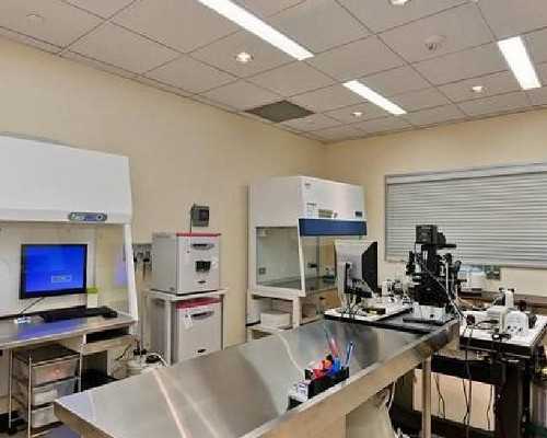 代怀代生包男孩,天津男男能做试管婴儿吗-正规试管助孕机构-哈尔滨市一院试管