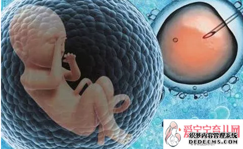 做试管婴儿冷冻胚胎可以管多久？