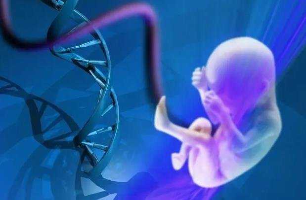 试管婴儿能选择双胞胎吗?_试管婴儿筛选基因利弊_试管婴儿移植后还需要吃保胎