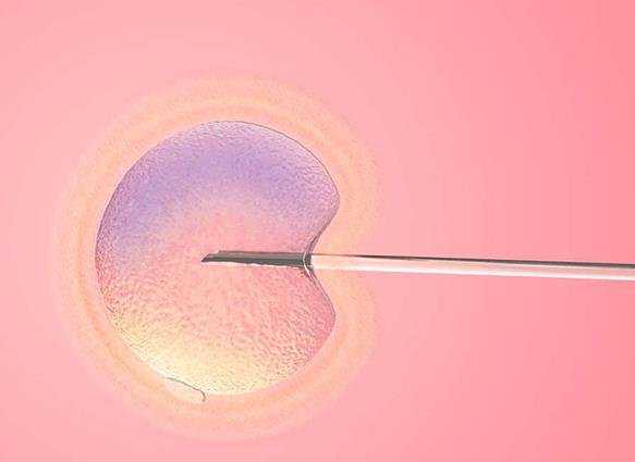 三代试管囊胚筛选比率_锦江妇幼试管可以选性别吗_EIrp1_湖南长沙正规助孕机构