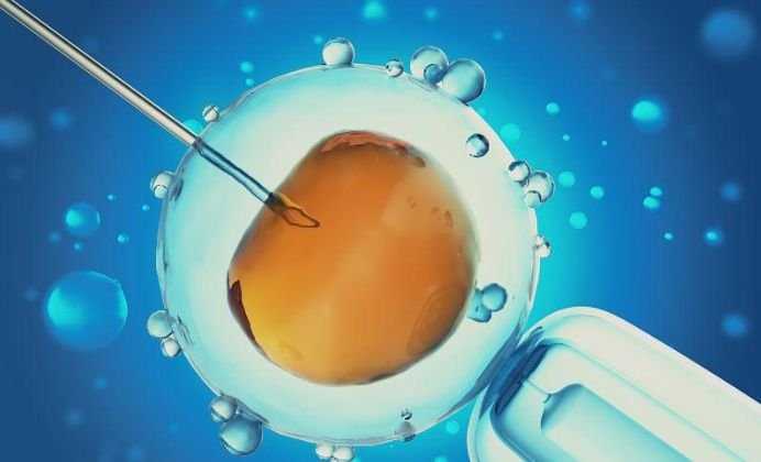 试管选性别会伤害胚胎吗_试管婴儿选择性别吗_为什么人工周期5天冻囊胚复苏到