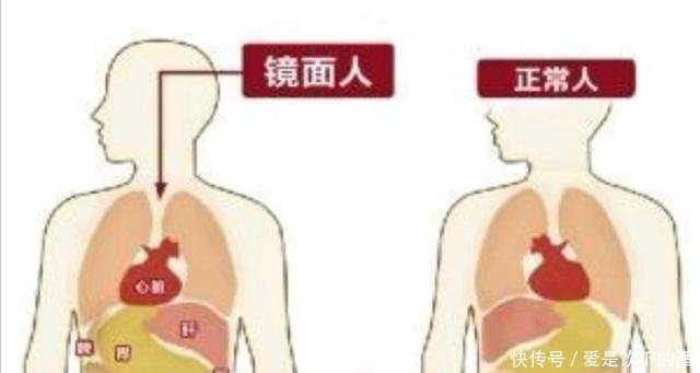 4bc囊胚移植成功率_三代试管可以挑男女_上海试管包成功医院，武汉中南医院做